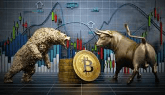 Bull vs Bear Markets in Crypto